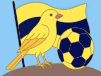 Fenerbahçe boyama oyunu